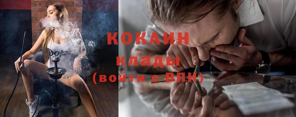 дмт Горняк