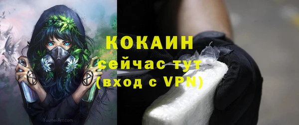 дмт Горняк