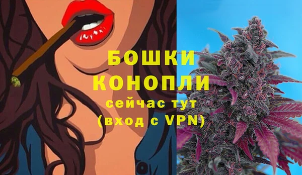 стаф Горно-Алтайск