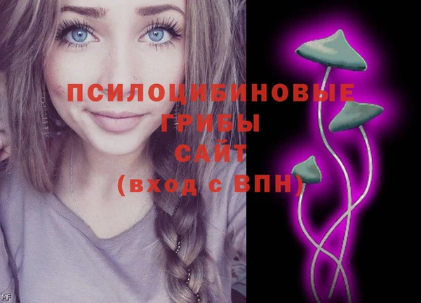дмт Горняк