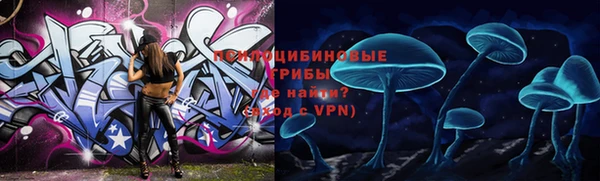 дмт Горняк