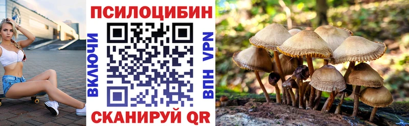Галлюциногенные грибы Cubensis  Купить  Покровск 